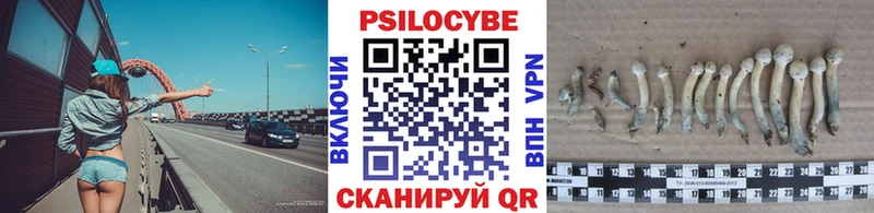 Псилоцибиновые грибы Psilocybine cubensis  Шадринск 